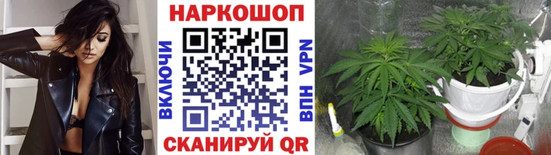 ГАШ Называевск