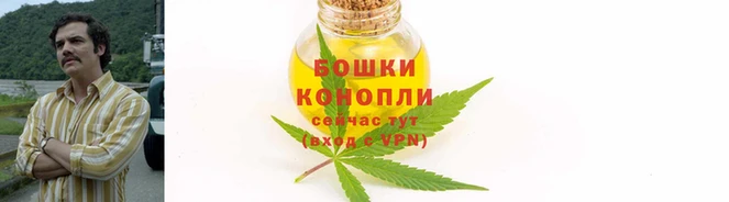 каннабис Белокуриха