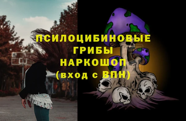 каннабис Белокуриха