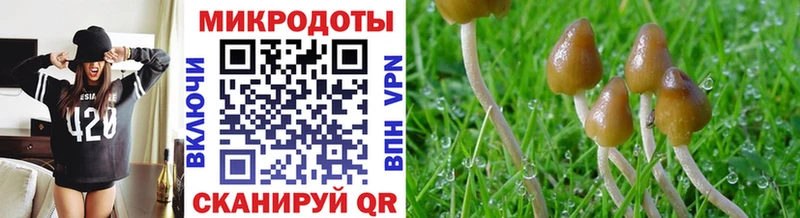 купить наркоту  Называевск  OMG вход  Галлюциногенные грибы Psilocybe 